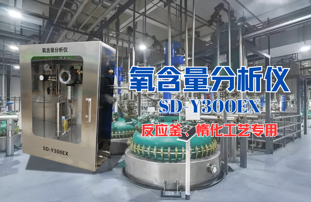 SD-Y300EX氧含量分析儀.png